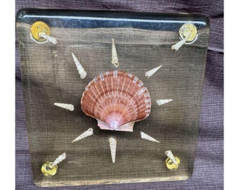 Salvamanteles cuadrado vintage de Lucite de 8" con forma de concha marina Capricia Creations Sigma Tastesetter