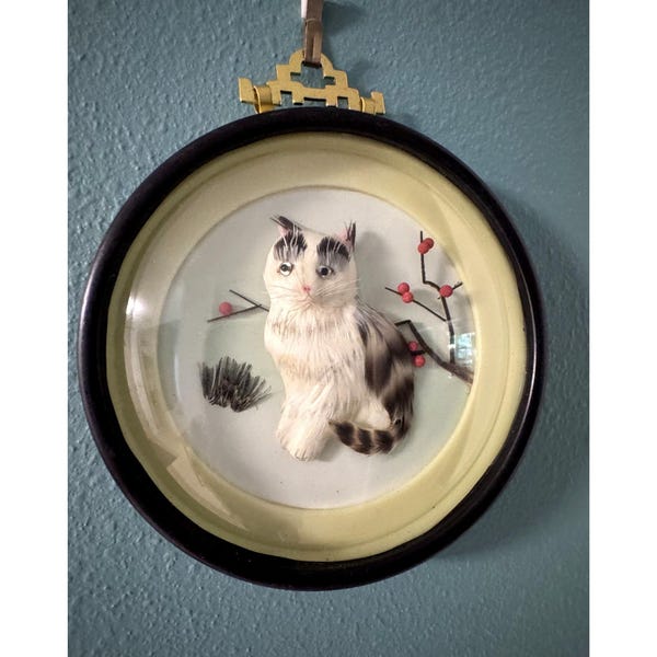 Vintage Feather Art Cat Shadow Box Domed Glass Asian Hanging Frame