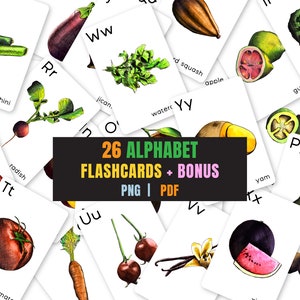 26 watercolor FRUIT flashcards + 6 Color flashcards, + alphabet poster, homeschooling, png, commercial use, montessori learning