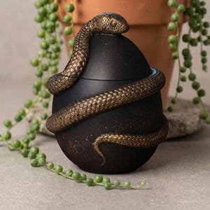 Joyero con forma de huevo de serpiente pintado a mano, decoración gótica para altar de brujas con nido de serpiente.