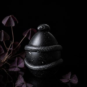 Gothic Schlangeneier-Schmuckkästchen, schwarzer Schlangen-Schmuckhalter, Dark Academia Dekor