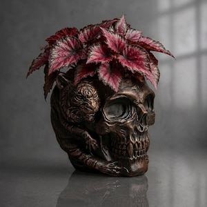 May include: A bronze-colored skull-shaped planter featuring a sculpted tiger wrapped around the side. The skull has deep eye sockets and detailed teeth. A plant with dark red and green variegated leaves grows out of the top of the skull.