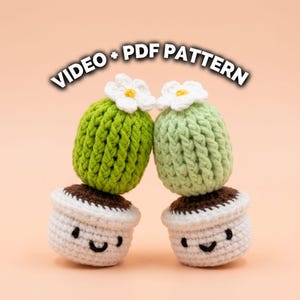 Puede incluir: Dos figuras de cactus de ganchillo en macetas blancas con caras sonrientes, cada una rematada con una flor blanca. El cactus de la izquierda es verde brillante y el de la derecha es verde claro. El texto VIDEO + PDF PATTERN aparece arqueado.