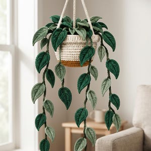 May include: A crocheted hanging plant featuring long, trailing vines with dark and light green leaves. The plant is contained in a cream-colored crocheted pot with a mustard yellow base, suspended by a matching cream-colored crocheted hanger.