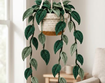 Puede incluir: Una planta colgante de ganchillo con largas enredaderas que caen y hojas de color verde oscuro y claro. La planta está en una maceta de ganchillo color crema con una base amarillo mostaza, suspendida por un soporte de ganchillo a juego.