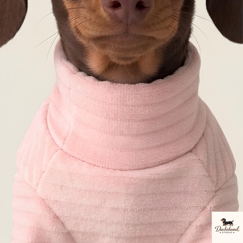 Mini-Dackel-Pyjama, weicher, warmer Dackel-Einteiler, rosa-gelbe Dackel-Hundekleidung für Frühling und Herbst, niedlicher kleiner Hunde-Pyjama für Welpen Bild 2