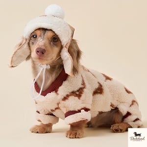 Dachshund Winter Coat with Hood, Windproof Warm 4-Legged Wiener Dog Jacket, Thick Fleece Sausage Dog Outfit for Small Dogs & Puppies