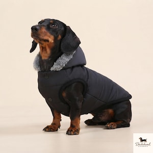 Op de afbeelding: Een zwarte gewatteerde hondjas met een capuchon en een grijze rand van imitatiebont rond de nek. De jas heeft een drukknoopsluiting op de borst. Een klein logo met de tekst Dachshund Studio is zichtbaar in de rechterbenedenhoek.