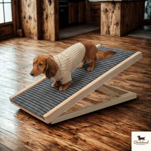 Op de afbeelding: Een kleine, bruine teckel met een beige trui staat op een houten dierenhelling met een grijze, getextureerde oppervlakte. De helling wordt ondersteund door een licht houten frame. De achtergrond heeft houten panelen.