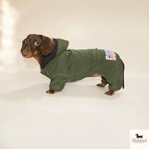 Winddichte Winterjacke für Dackel, Kapuzenmantel für Dackel, warme Kleidung für kleine Dackel, Wintermantel für Welpen