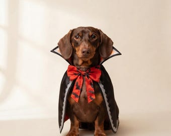 Dackel-Vampirumhang, Fledermaus-Halloweenkostüm für Dackel, Dackelumhang mit hohem Kragen und Fliege für kleine Hunde, Lila, Rot, Orange