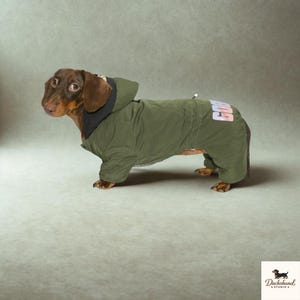 Puede incluir: Un perro salchicha marrón con un abrigo verde oliva con capucha negra. La palabra "Dog" está impresa en la parte posterior del abrigo en una fuente reflectante multicolor. El perro está de pie sobre una superficie gris.