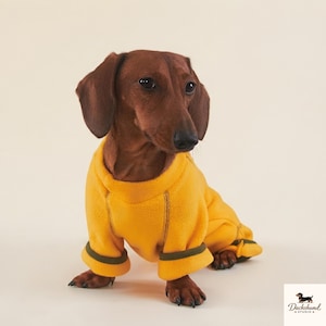Dackel-Fleece-Overall, warmes Winteroutfit für Dackel, kuschelige Dackelkleidung für kleine Hunde, Fleece-Welpen-Einteiler für kaltes Wetter