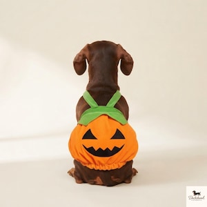 Puede incluir: Un perro salchicha marrón visto desde atrás con un disfraz de mascota en forma de calabaza naranja, con un estampado de cara de jack-o'-lantern negra y tirantes de tela verde sobre los hombros. La prenda tiene un dobladillo elástico y abullonado.