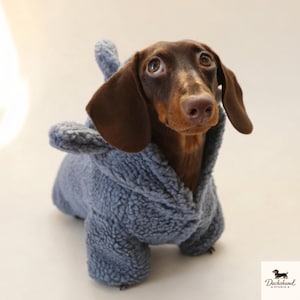 Sweat à capuche teckel éléphant, pull polaire d'hiver pour chien saucisse, déguisement mignon pour petits chiens, sweat à capuche animal fantaisie pour chiots
