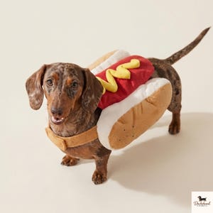 Puede incluir: Un perro salchicha moteado lleva un disfraz de perrito caliente compuesto por un pan beige, una salchicha roja y una línea de mostaza amarilla. El disfraz se sujeta con una correa beige en el pecho. El logo Dachshund Studio es visible.