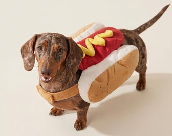 Costume da hot dog per cani, divertente costume di Halloween per bassotto, costume da bassotto in un panino, costume virale per foto per animali domestici di piccola e media taglia, bassotto