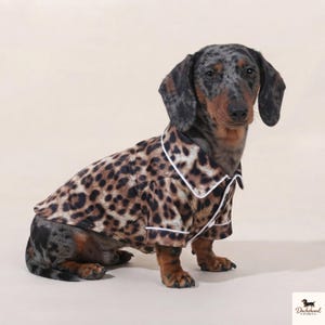 Puede incluir: Un perro salchicha arlequín lleva una camisa de manga corta abotonada con un estampado de leopardo marrón y negro y ribetes blancos a lo largo del cuello y la abertura frontal. El perro tiene un pelaje gris y negro moteado con marcas canela.