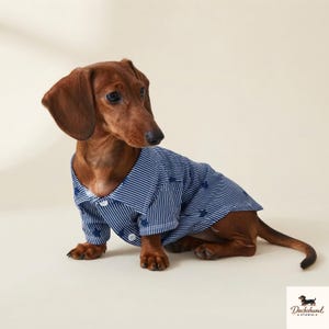 Gestreiftes Dackel-Shirt, Britisches Dackel-T-Shirt mit Sternenmuster, Blaue Dackel-Kleidung für kleine Hunde, Frühlings- und Herbst-Hundeoutfit