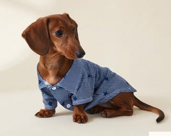 Gestreiftes Dackel-Shirt, Britisches Dackel-T-Shirt mit Sternenmuster, Blaue Dackel-Kleidung für kleine Hunde, Frühlings- und Herbst-Hundeoutfit
