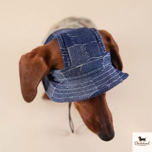 Puede incluir: Un sombrero de pescador de mezclilla azul oscuro con costuras blancas visibles y un patrón de estilo patchwork desgastado. El sombrero se lleva sobre la cabeza de un perro salchicha marrón, con ala ancha y una fina correa negra.