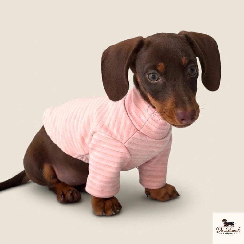 Mini-Dackel-Pyjama, weicher, warmer Dackel-Einteiler, rosa-gelbe Dackel-Hundekleidung für Frühling und Herbst, niedlicher kleiner Hunde-Pyjama für Welpen Bild 4