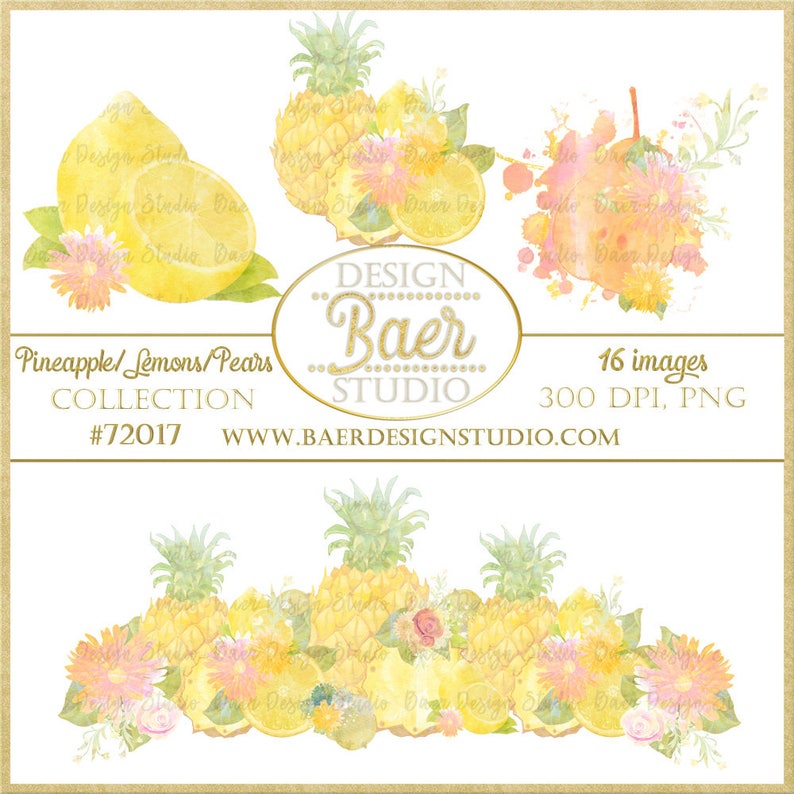 Pineapple ClipartDigital Clipart Border Lemon Digital Clip Etsy