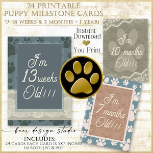 Cartões Milestone Puppy: Cartões para download, cartões digitais, cartões Milestone semanais para filhotes, cartões Milestone mensais para animais de estimação, presentes para animais de estimação