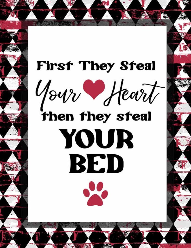 May include: A white sign with black text that reads "First they steal your heart then they steal your bed" with a red heart and paw print.