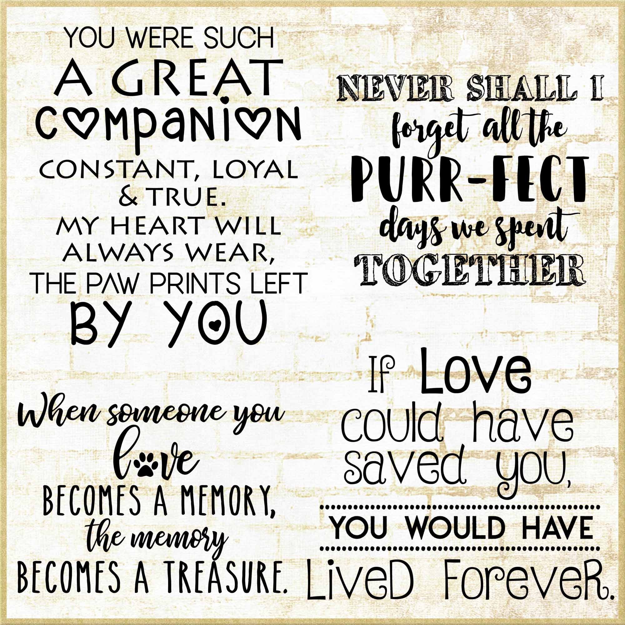 Seis Mil Refranes, image size:2000x2000