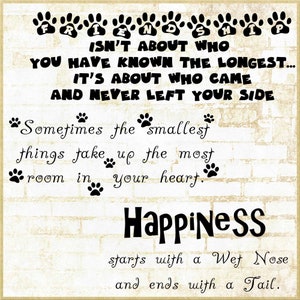 May include: A white brick wall with a black and white graphic that reads "Friendship isn't about who you have known the longest... It's about who came and never left your side." Below the text is a paw print graphic and the text "Sometimes the smallest things take up the most room in your heart." Below that is the word "Happiness" in large black letters. Below that is the text "starts with a Wet Nose and ends with a Tail."