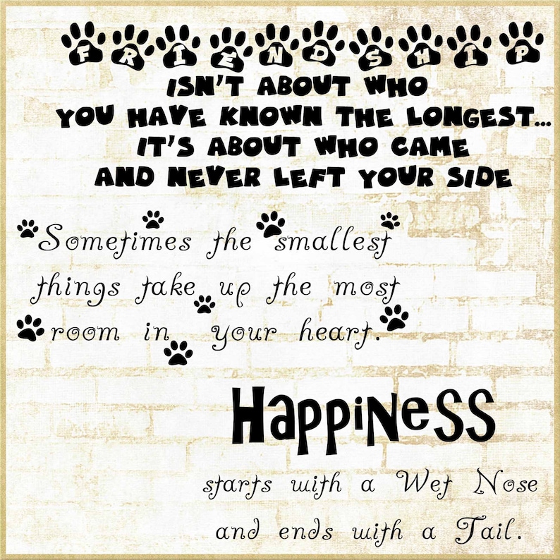 May include: A white brick wall with a black and white graphic that reads "Friendship isn't about who you have known the longest... It's about who came and never left your side." Below the text is a paw print graphic and the text "Sometimes the smallest things take up the most room in your heart." Below that is the word "Happiness" in large black letters. Below that is the text "starts with a Wet Nose and ends with a Tail."