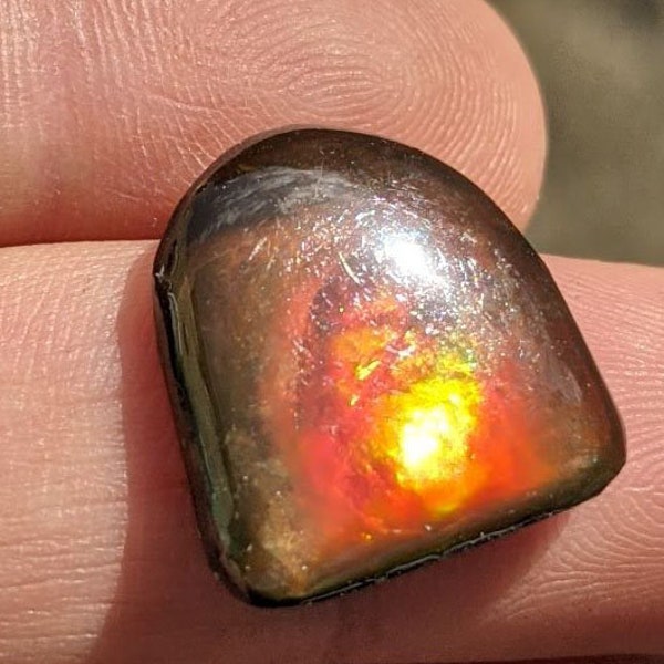 Ammolite - warm red with green flash freeform gem - Resin top - 19 mm X 19 mm depth 4 mm  (0012)