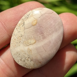 Pode incluir: Close-up de um cabochão oval de cor rosa claro e branco com um padrão de redemoinho e inclusões marrons e brancas. O cabochão é liso e polido.