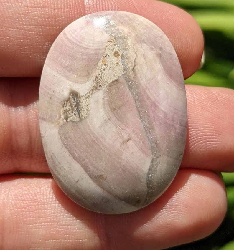 Beetroot Stone Cabochon, Sea Sponge Fossil From Gloucestershire 35 X 26 ...