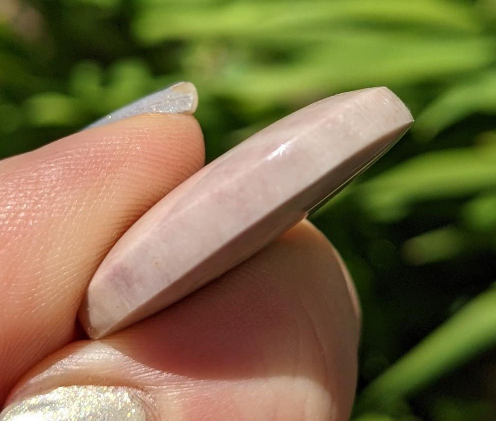 Beetroot Stone Cabochon, Sea Sponge Fossil From Gloucestershire 30 X 23 ...
