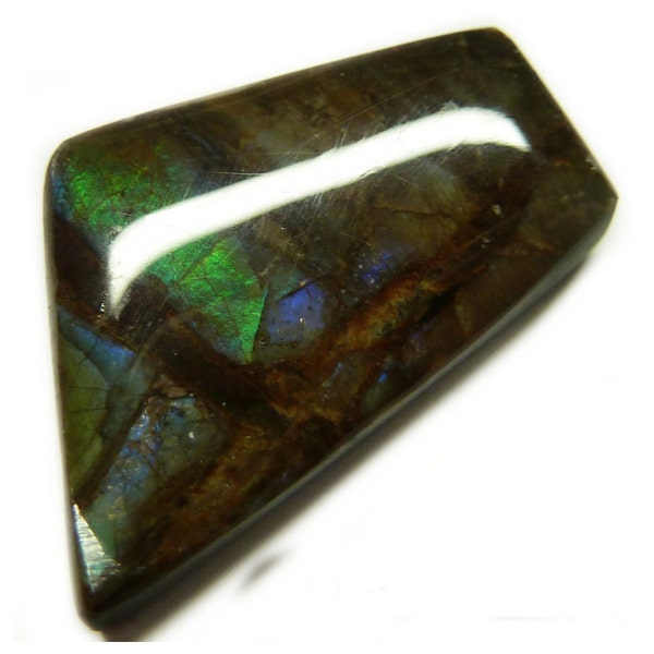 Beautiful Ghostly rare ammolite ammonite shell freeform gem 23mm X 16mm depth 5mm