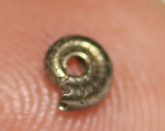 4 mm Eoderoceras, iron pyrite ammonite fossil found on the Jurassic Coast UK. 0221