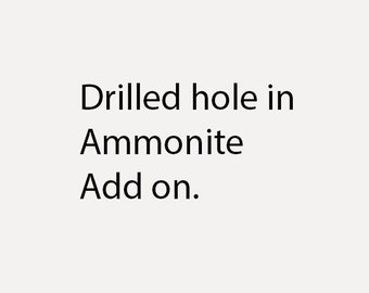 Drilled hole through an ammonite (add on if you have contacted me re hole drilling)