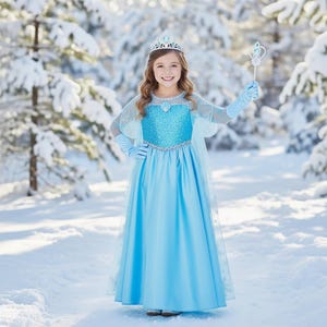 Ice Fairy Costume Adult - Etsy Sweden