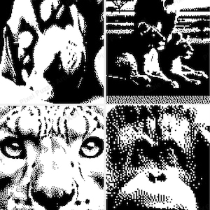 May include: A black and white pixel art collage featuring four different animal portraits. The images include a tiger, a lion family, a snow leopard, and a gorilla. The artwork is a digital illustration.