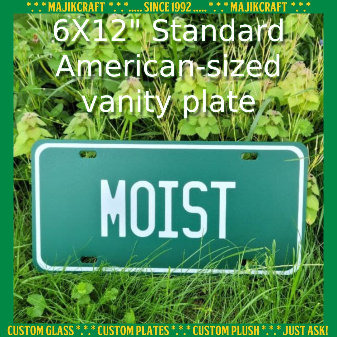 MOIST Faux Vanity Plates Plastic License Plate Your Favorite Word, Bar