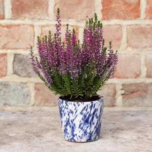 Maceta holandesa - Maceta holandesa de estilo antiguo con diseño de salpicaduras azules - Cubierta para maceta de interior - Maceta rústica para suculentas con estampado de salpicaduras azules y blancas
