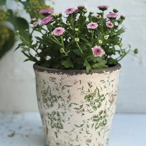 以下が含まれることがあります： ピンクの花と緑の葉を持つ鉢植え。 鉢は、緑の花柄と茶色の縁が付いた、オフホワイトの陶器製です。 白い表面に置かれています。