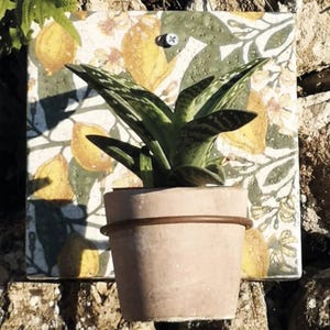 Lemon Tile Sconce Pot Holder - Rustic Wall Planter - Garden Decor - Tile Pot Holder - Outdoor Decoration