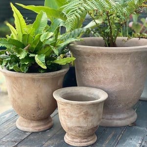 Clavering Terrakotta Urnkruka - Rustik Planter - Trädgårdsdekoration - Plantkruka - Utomhusdekoration - 3 Storlekar