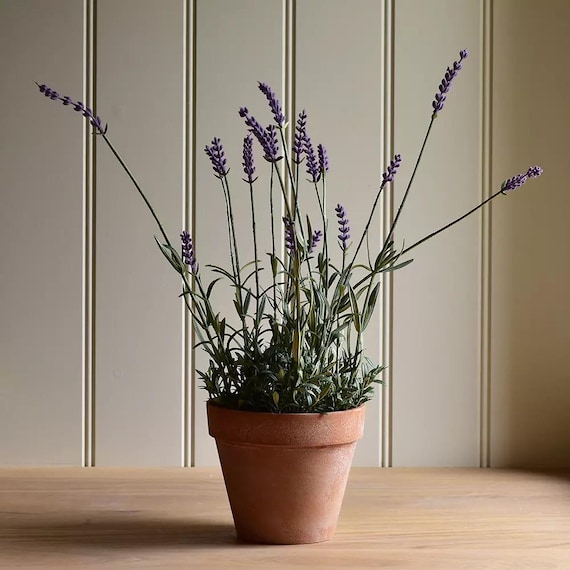 Künstlicher Englischer Lavendel im Topf - Künstliche Blumen - Realistische Fake Lavendelpflanze - Künstliche Zimmerpflanze - Künstlicher Topflavendel