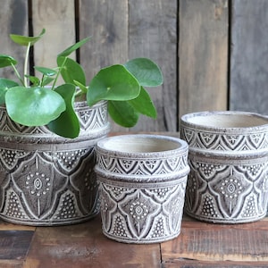 Puede incluir: Tres macetas decorativas de cerámica con un patrón en relieve detallado en tonos marrón y crema. Una maceta contiene una planta verde con hojas redondas. Las macetas están dispuestas sobre una superficie de madera.