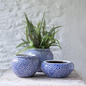 May include: Three blue and white patterned ceramic planters of varying sizes. The largest planter holds a green fern. The planters have a geometric design and sit on a wooden surface against a white brick wall.