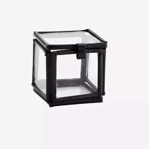 Op de afbeelding: Een kleine, vierkante glazen doos met een zwart metalen frame. De doos heeft een scharnierend deksel en is ontworpen om kleine items te tonen. Het heldere glas zorgt voor volledige zichtbaarheid van de inhoud. Geschikt voor sieraden of verzamelobjecten.